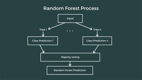 Image result for Random Forest Classification Algorithm