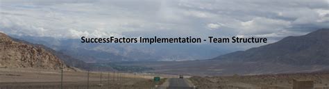 Image result for SAP Strategy Team Structure