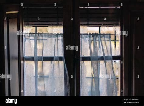 Image result for Translucent Winows