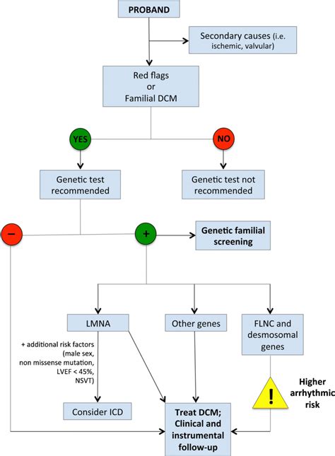 Image result for DCM Data Configuration Flow Chart
