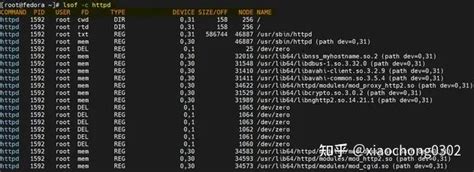 Toradh íomhá ar Lsof Java Result