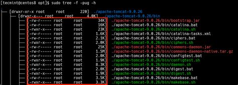 Image result for Linux Du Command Folder Tree with Sizes