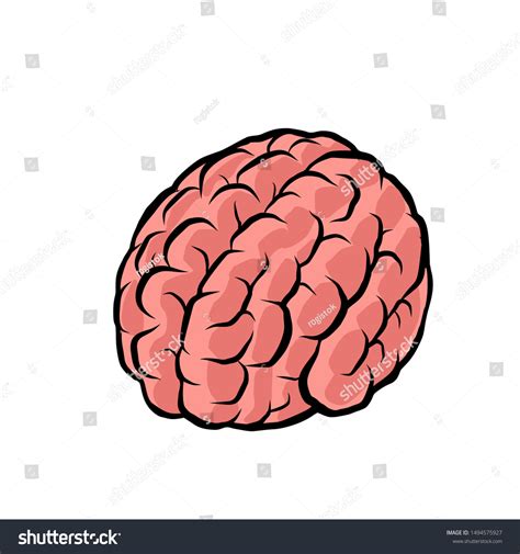 Image result for Brain Development Comic