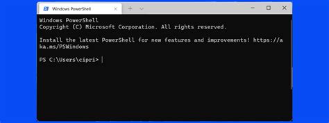 Image result for PowerShell Terminal On Windows Machine