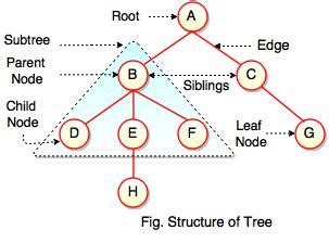 Image result for Tree Terminology Data Structure