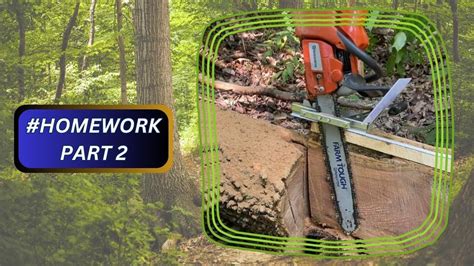 Afbeeldingsresultaten voor Chainsaw Lessons