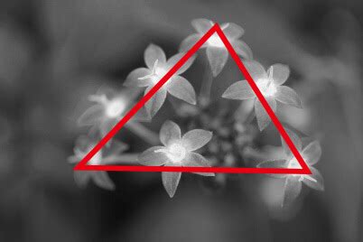 Image result for Compositional Triangles