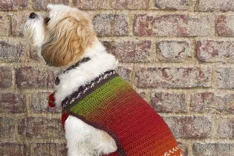 Image result for Crochet Dog Vest Free Pattern