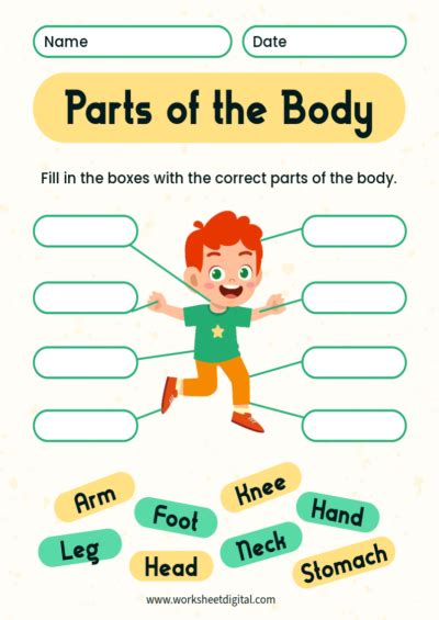 Grade One Science Worksheet に対する画像結果