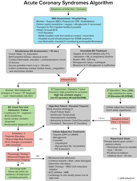 ACLS ACS Algorithm に対する画像結果