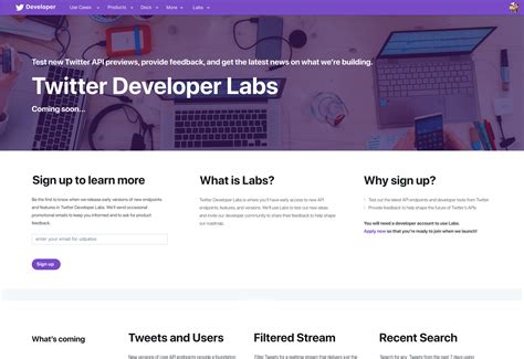 Image result for Web Developer Twitter