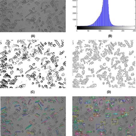Toradh íomhá ar Categorization and Counts Slide Example