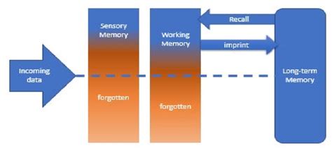Image result for Working Memory Capacity Cognitive Load Diagram