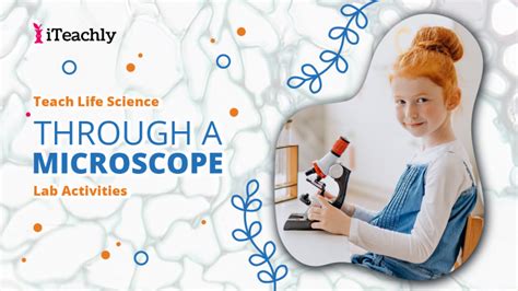 Image result for Microscope Lab Activity
