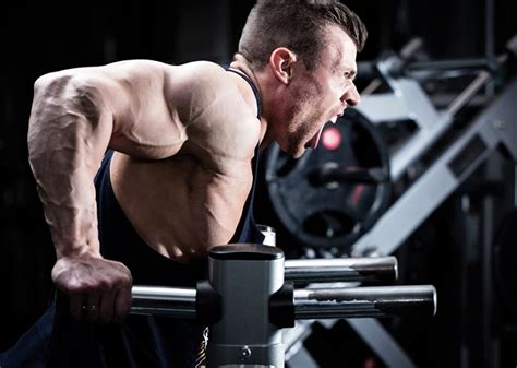 Eccentric Muscle Exercise に対する画像結果