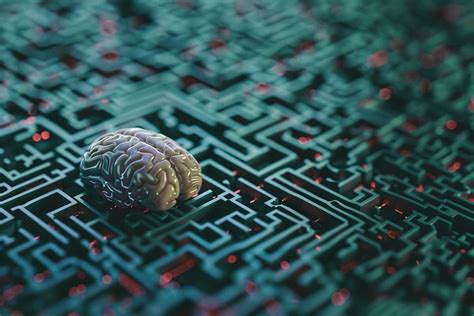 Afbeeldingsresultaten voor Neural Decoding Icon