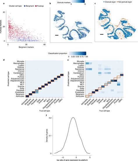 Type of Transcriptomics に対する画像結果