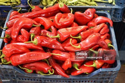 Fresno State Student Union に対する画像結果