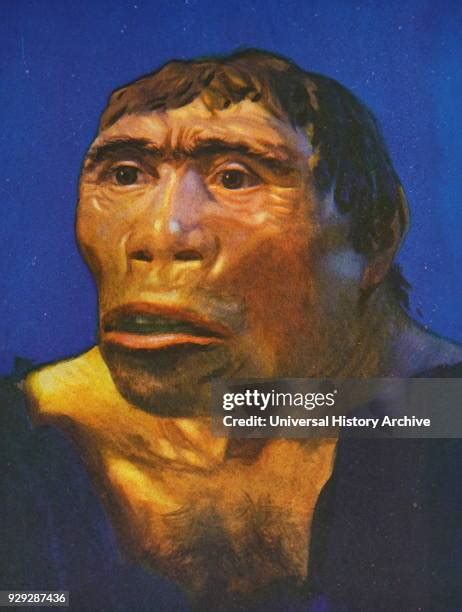 Image result for Old Man Java