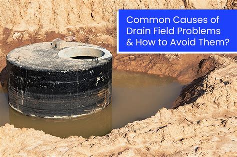 Image result for Leach Field Problems