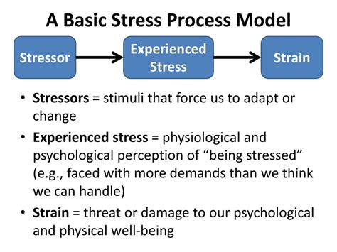 Image result for Basic Stress Model