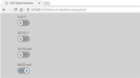 Image result for Checkbox Styling CSS