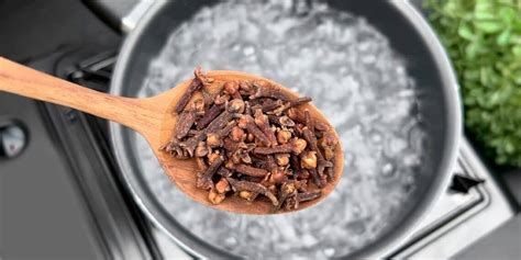 Image result for How to Make Clove Water Using Clove Powder