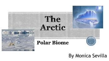 Afbeeldingsresultaten voor Polar and Ocean Biome