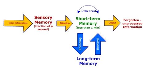 Image result for The Memory Process