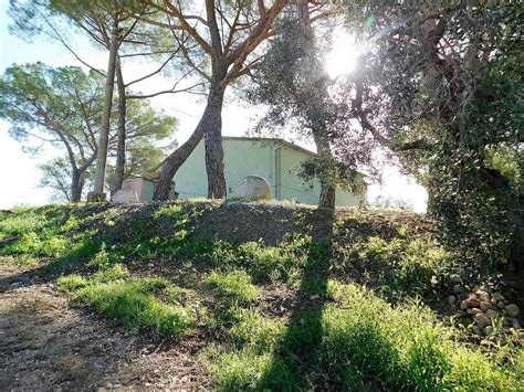 Image result for Arable Land in Italy