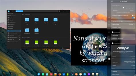 Toradh íomhá ar Deepin Linux Environment