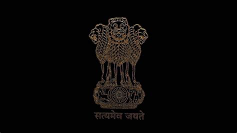 Toradh íomhá ar Export HD Logo