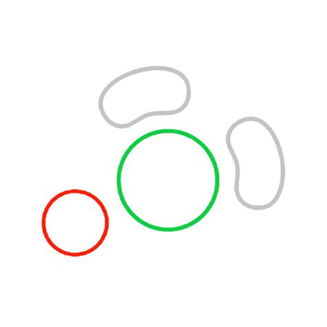 NGC Controller Layout に対する画像結果