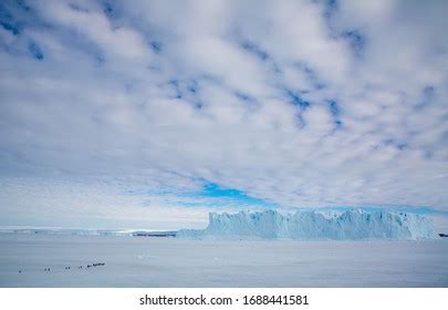 Toradh íomhá ar What Is the Coldest Continent