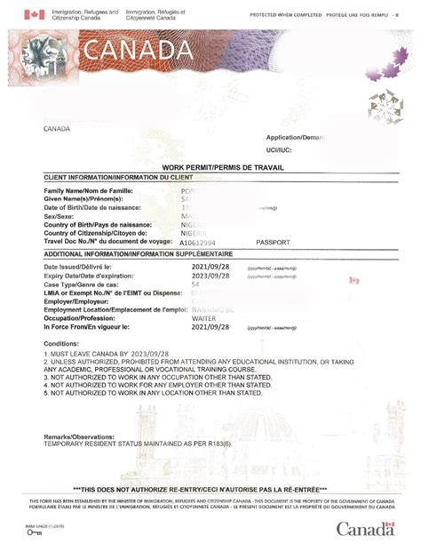 Toradh íomhá ar Back of Real Work Permit