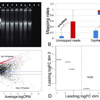 RNA Transcriptome に対する画像結果