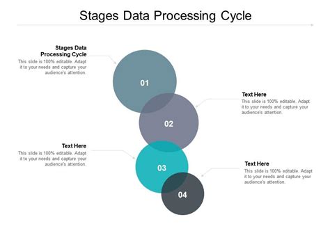 Sample Activity On Data Processing Cycle に対する画像結果
