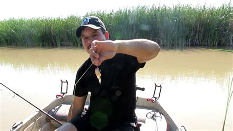 Image result for How to Use Minnows for Catfish Bait