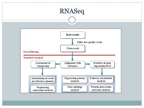 Image result for Microarray Analysis Bidirectional Replication