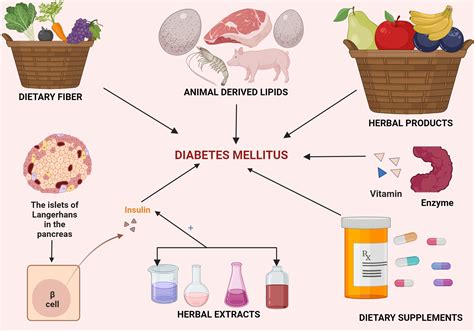 Graphical abstract | BioRender Science Templates