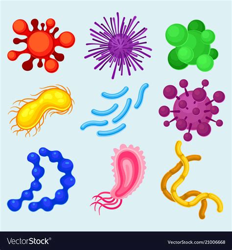 Image result for Different Types