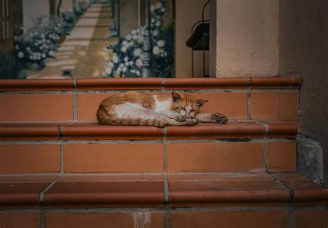 Random Background Images for PowerPoint కోసం చిత్ర ఫలితం