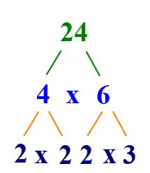 Toradh íomhá ar What Is Prime Factorization