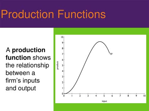 Image result for How to Draw Production Function