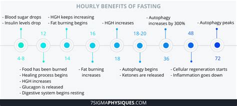 Image result for Fasting Timeline Chart