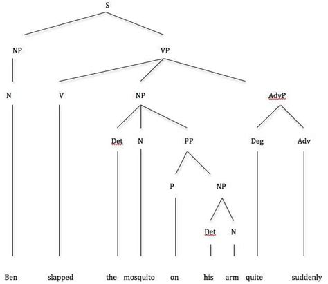 Image result for Syntax Tree Diagram