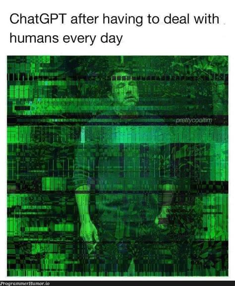 Image result for Chat GPT Code Programmerhumor