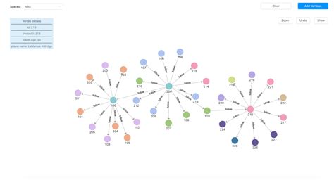 D3 Directed Network Graph に対する画像結果