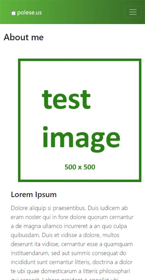 Image result for Bootstrap 5 Image