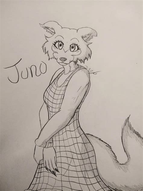 Image result for K-Lite Juno Sketch